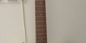 Telecaster Larry carlton t7