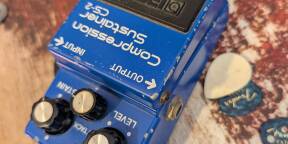 Boss CS2 110€ fdpin