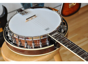 Epiphone Mayfair 5-String Banjo (22614)