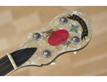 Epiphone Mayfair 5-String Banjo (14912)