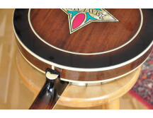 Epiphone Mayfair 5-String Banjo (59892)