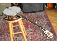 Epiphone Mayfair 5-String Banjo (73540)