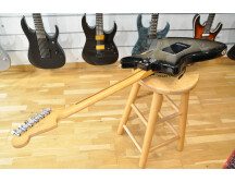 Fender Player Plus Meteora HH (1558)