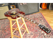 Edwards SG-LTD (81248)