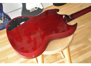 Edwards SG-LTD (52619)
