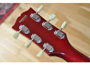 Edwards SG-LTD (49564)