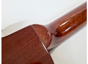Gibson Nighthawk Special 3 (33719)