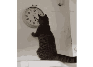 chat le maitre des horloges