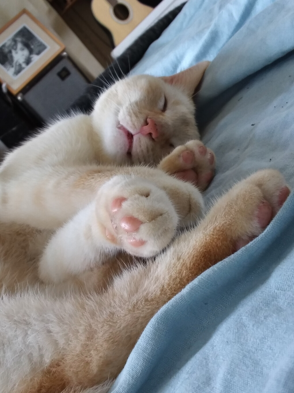 6640897.jpg 6640897.jpg