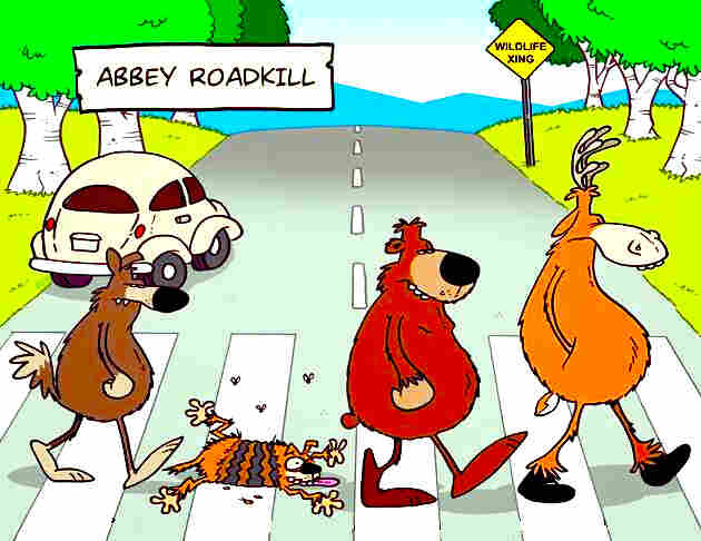 6640898.jpg 6640898.jpg