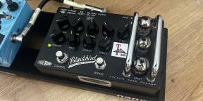 Préampli lampes Effectrode Blackbird