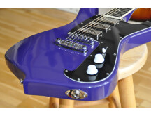 Ibanez FRM300 Paul Gilbert Signature (76507)