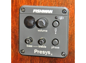 Art & Lutherie Legacy Presys II (37950)