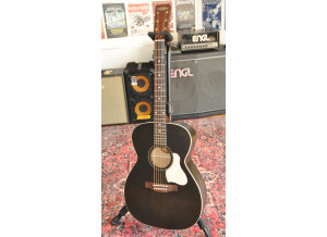Art & Lutherie Legacy Presys II (36267)