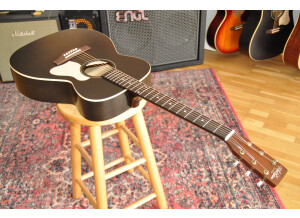 Art & Lutherie Legacy Presys II (27328)