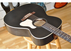 Art & Lutherie Legacy Presys II (55983)