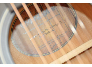 Art & Lutherie Legacy Presys II (10615)