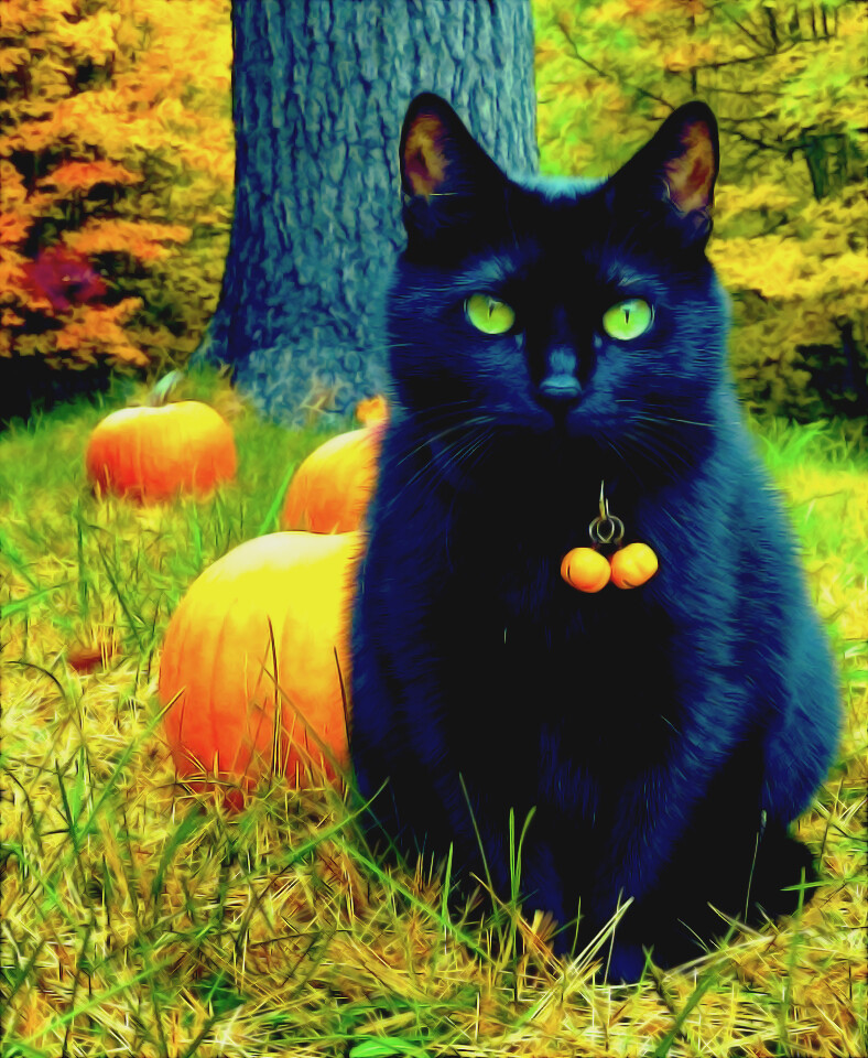 6642493.jpg 6642493.jpg