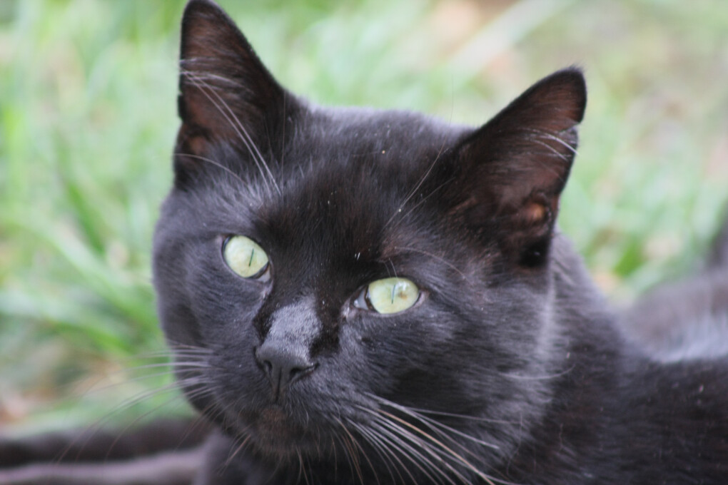 6643202.jpg 6643202.jpg