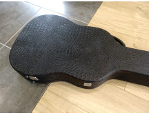 DeArmond Starfire (73290)