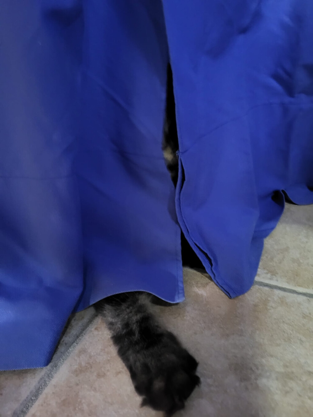 6643536.jpg 6643536.jpg