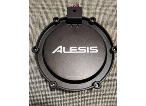 IMG 20251029 155410275