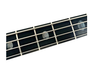 Alembic Spoiler (73913)