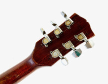 Gibson SG Special (1968) (32334)