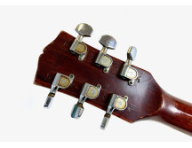 Gibson SG Special (1968) (52234)