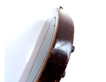 Gibson SG Special (1968) (1299)