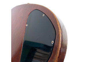 Gibson SG Special (1968) (9174)