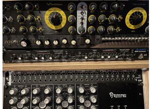 Schippmann Ebbe und Flut (5689)