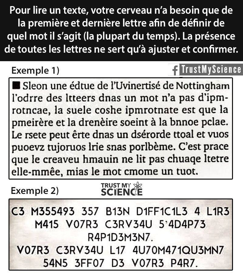 6645396.jpg 6645396.jpg