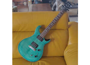 PRS SE Paul's Guitar (77465)