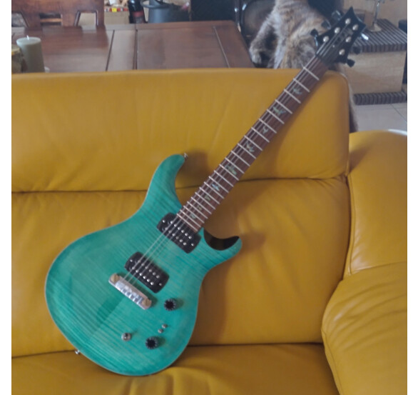 PRS SE Paul's Guitar (77465)