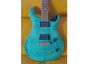 PRS SE Paul's Guitar (94835)