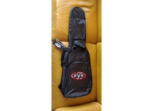 PRS SE Paul's Guitar (90701)