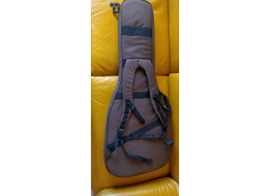 PRS SE Paul's Guitar (24695)