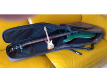 PRS SE Paul's Guitar (32315)