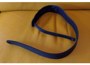 PRS SE Paul's Guitar (17532)