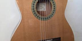 Guitare espagnole Paco Castillo Mod 201