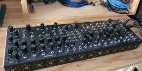 endorphin shutlle system