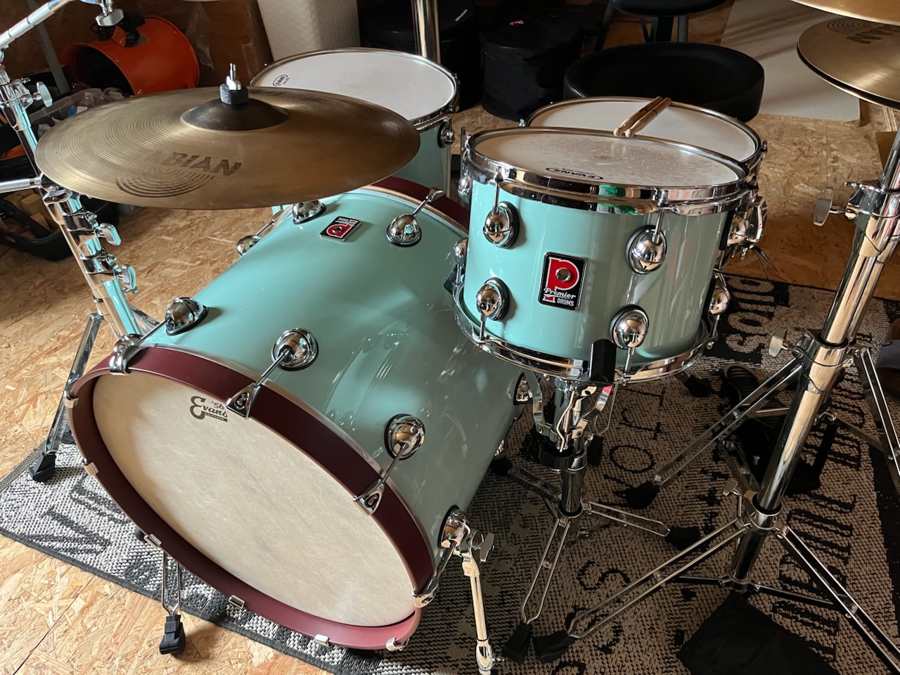 Premier Genista Maple (2022)