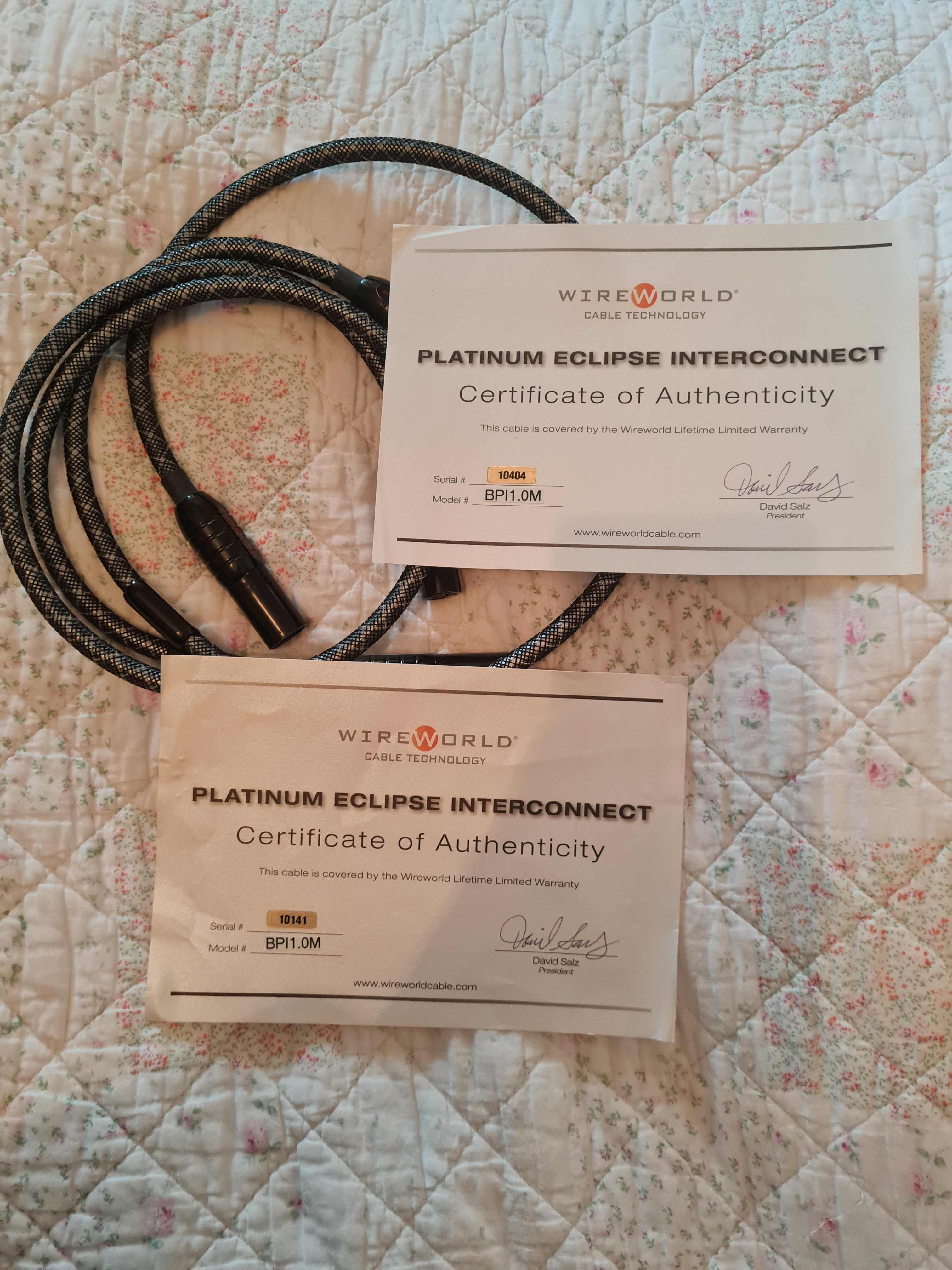 2 câbles Wireworld série Platinum Eclipse