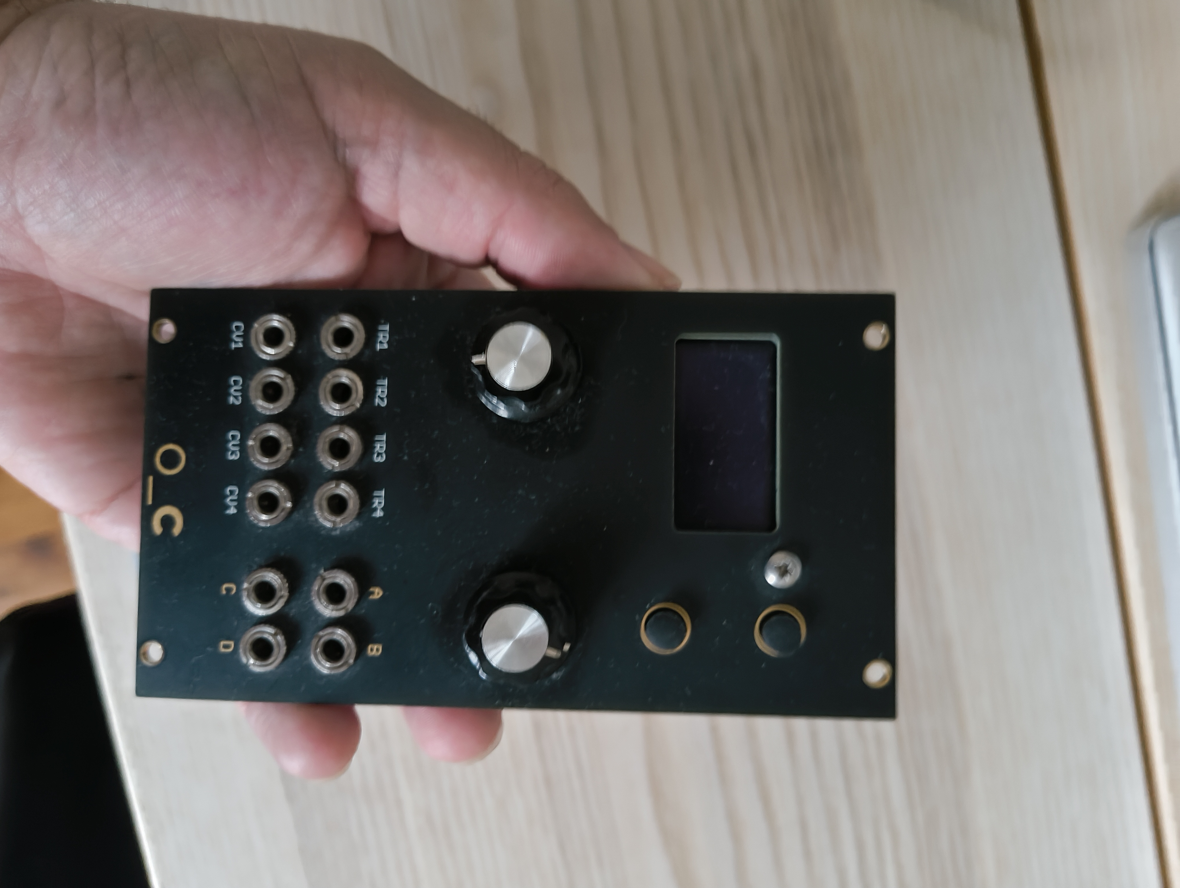 Vends Ornament + Crime