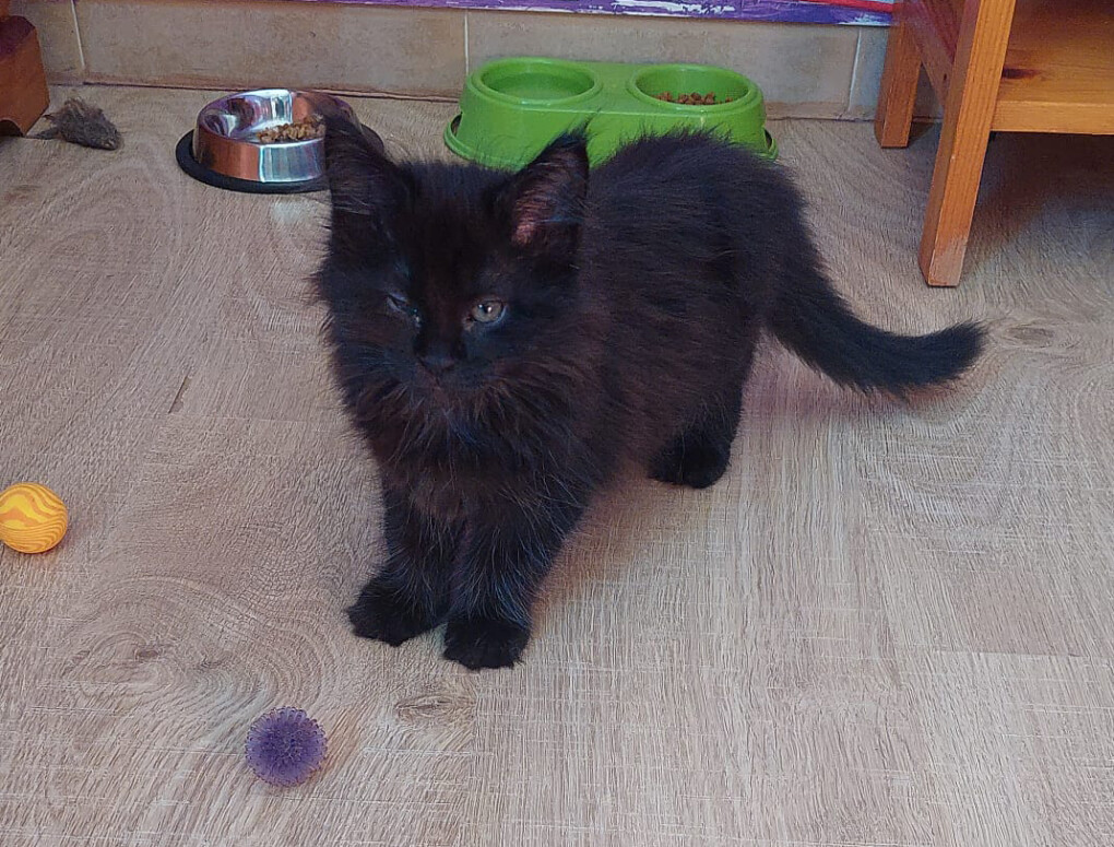 6649056.jpg 6649056.jpg