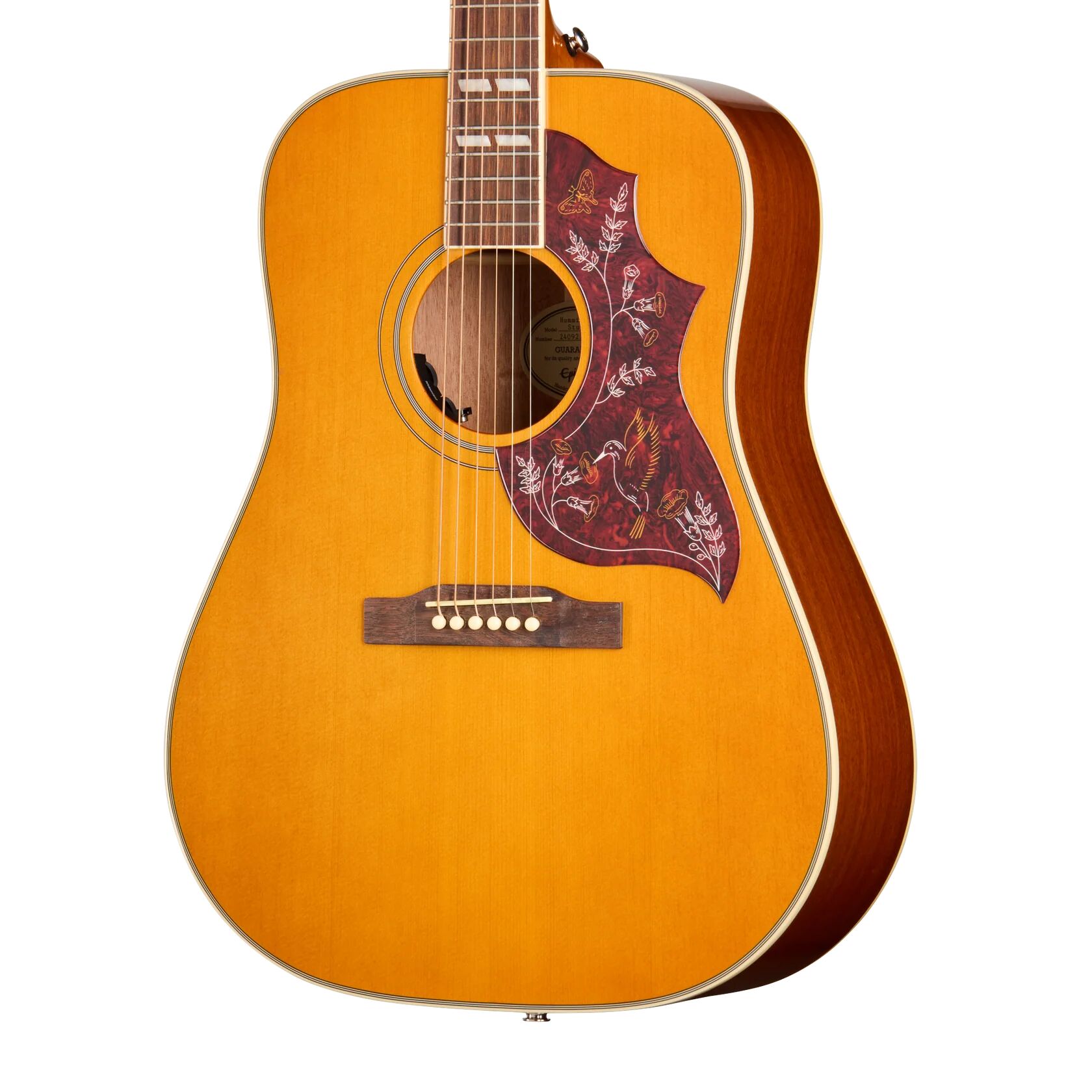 Epiphone Hummingbird Studio : Hummingbird StudioAN
