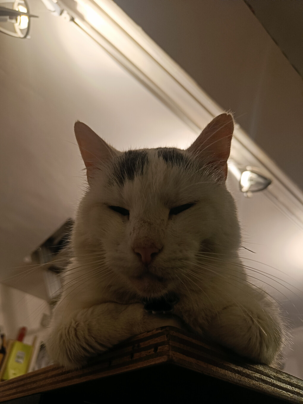 6649762.jpg 6649762.jpg