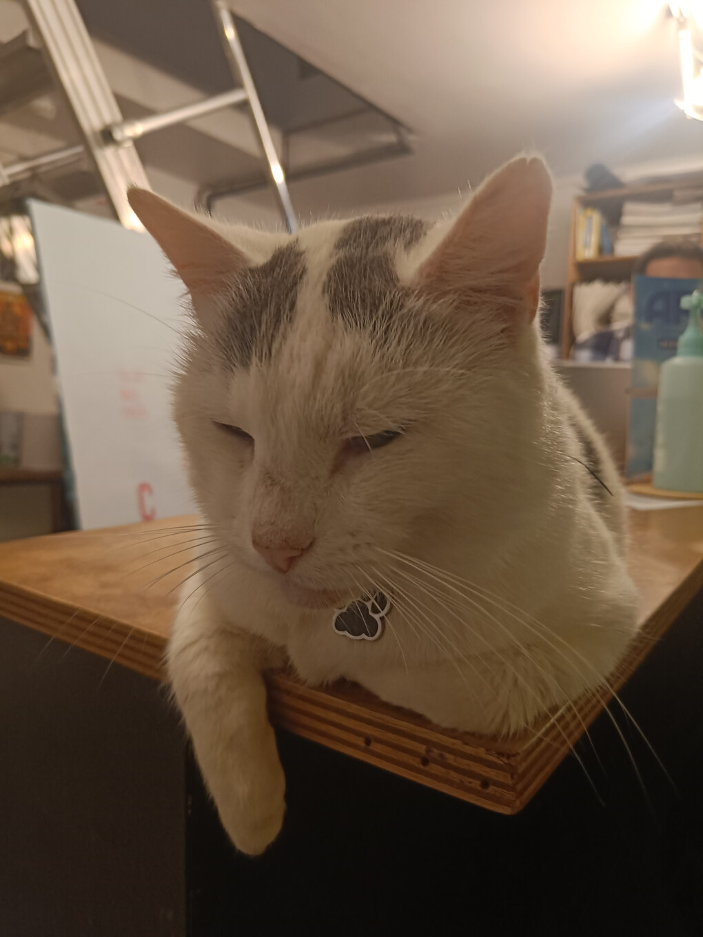 6649764.jpg 6649764.jpg