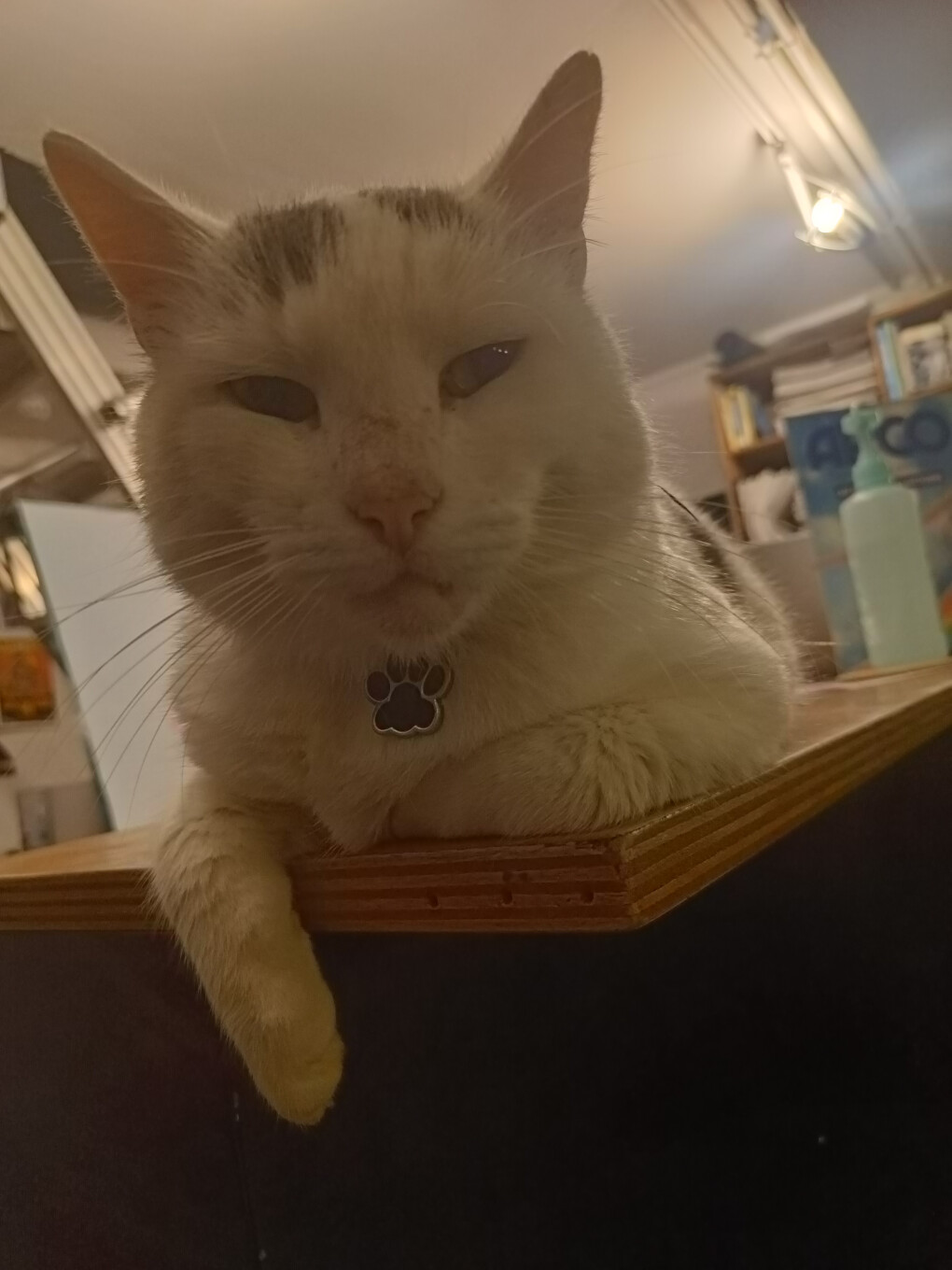 6649766.jpg 6649766.jpg